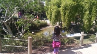 IMG_20150403_142444669_20150417_235559