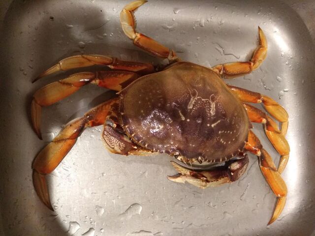 IMG_20191228_171945345