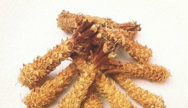 Screen Shot 2020-11-13 at 09.54.29