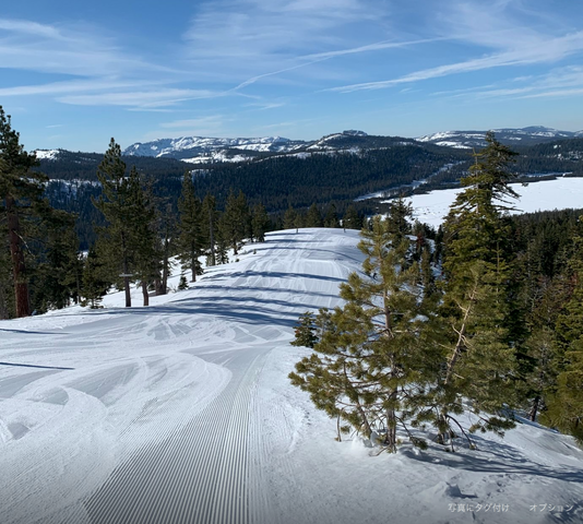 Screen Shot 2020-01-13 at 23.23.37