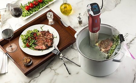 sousvide