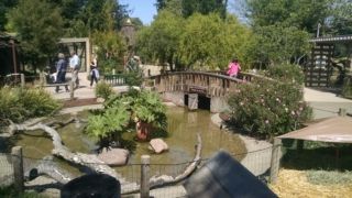 IMG_20150403_141731024_20150417_235602