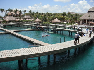 10年 カンクン旅行 シカレ Xcaret Franklin Filbert
