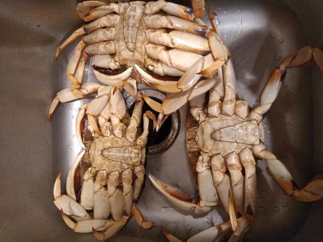 IMG_20191228_170738079