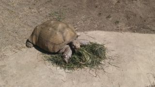 IMG_20150403_142315617_20150417_235554