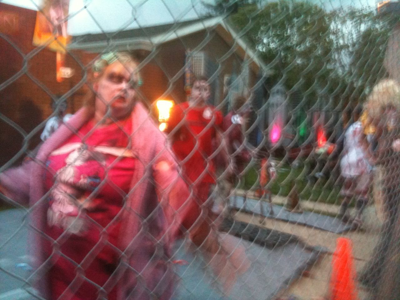 photo (1)