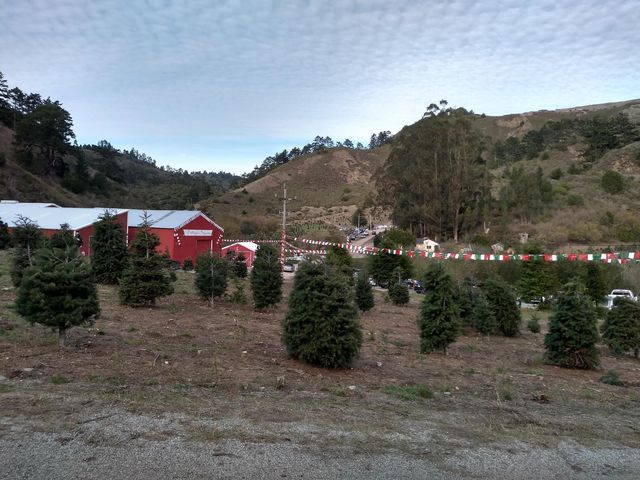 IMG_20181202_151812257_HDR