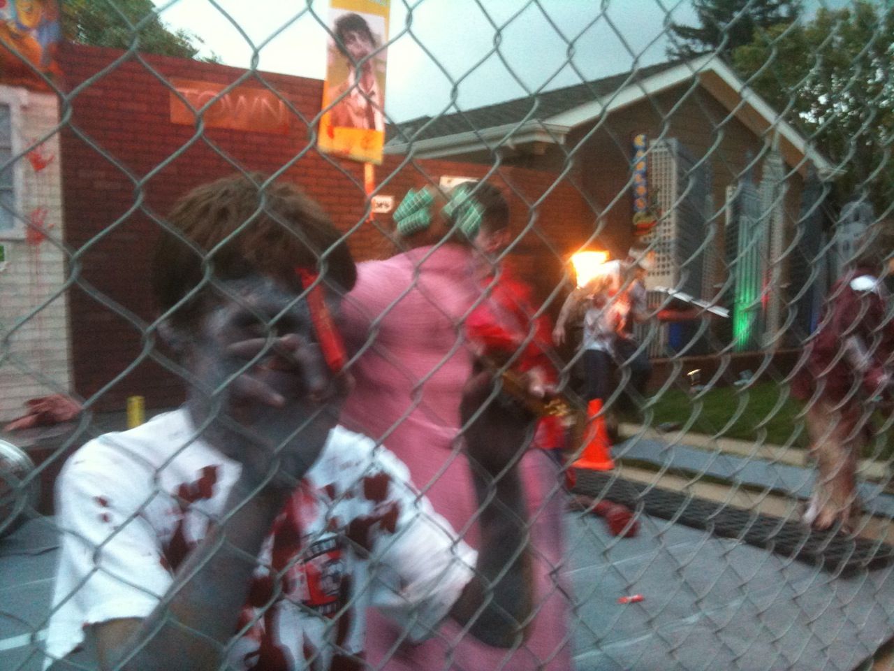 photo (2)