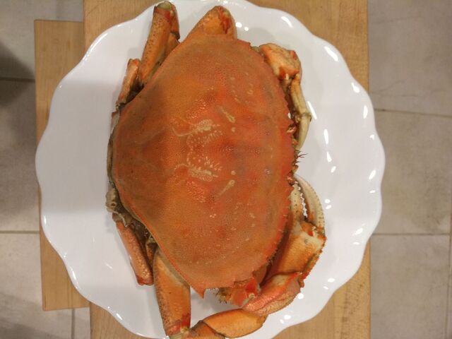 IMG_20191228_174822822