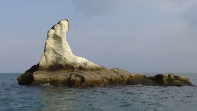 1-DSC00347