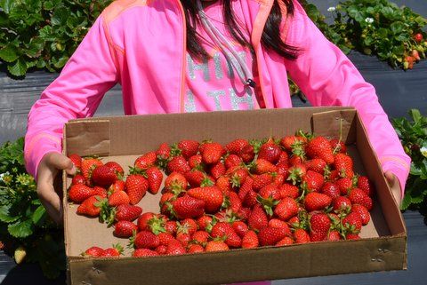 1-DSC_2932-002