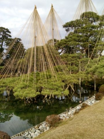 IMG_20160106_111117640_HDR_20160201_130933