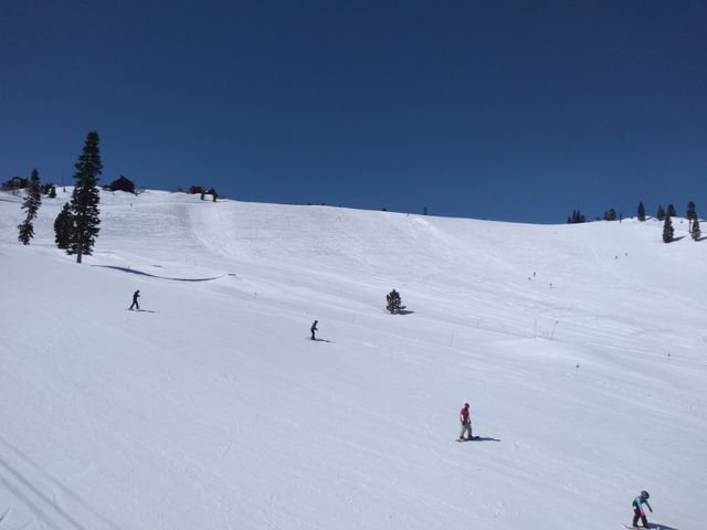 IMG_20190331_104833429