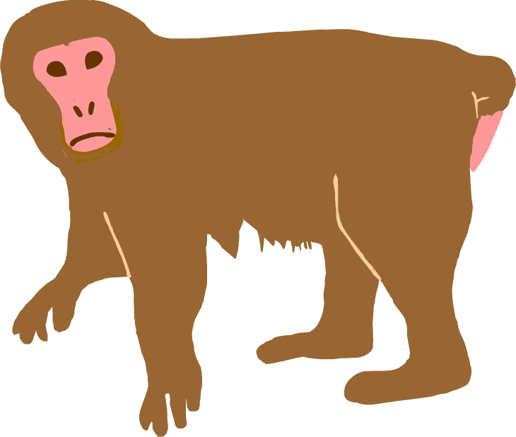 干支映画特集その9 猿映画と言えば もっと映画観たい タイムトラベル映画が大好き