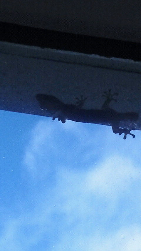 ヲタクのdna起動マニュアル ガンダムバージャブローｚ ルナツー キーワード オーナーの右脳はウ コだし左脳はキ カツみたいに薄い豚肉の層が何層もある聞いてましたが 本当でござるか 笑 By強化人間８号 札幌ガンダムバー ジャブローの俺たちは萌えてなどいないっ