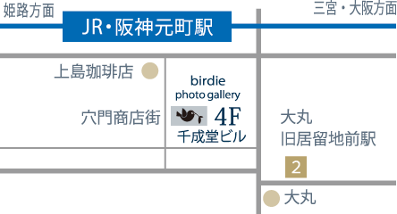 birdie_map