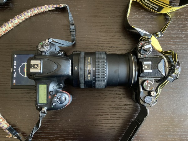 簡易的なシャッタースピード測定法 : Darkroom Door