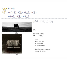 スクリーンショット 2024-10-19 212358