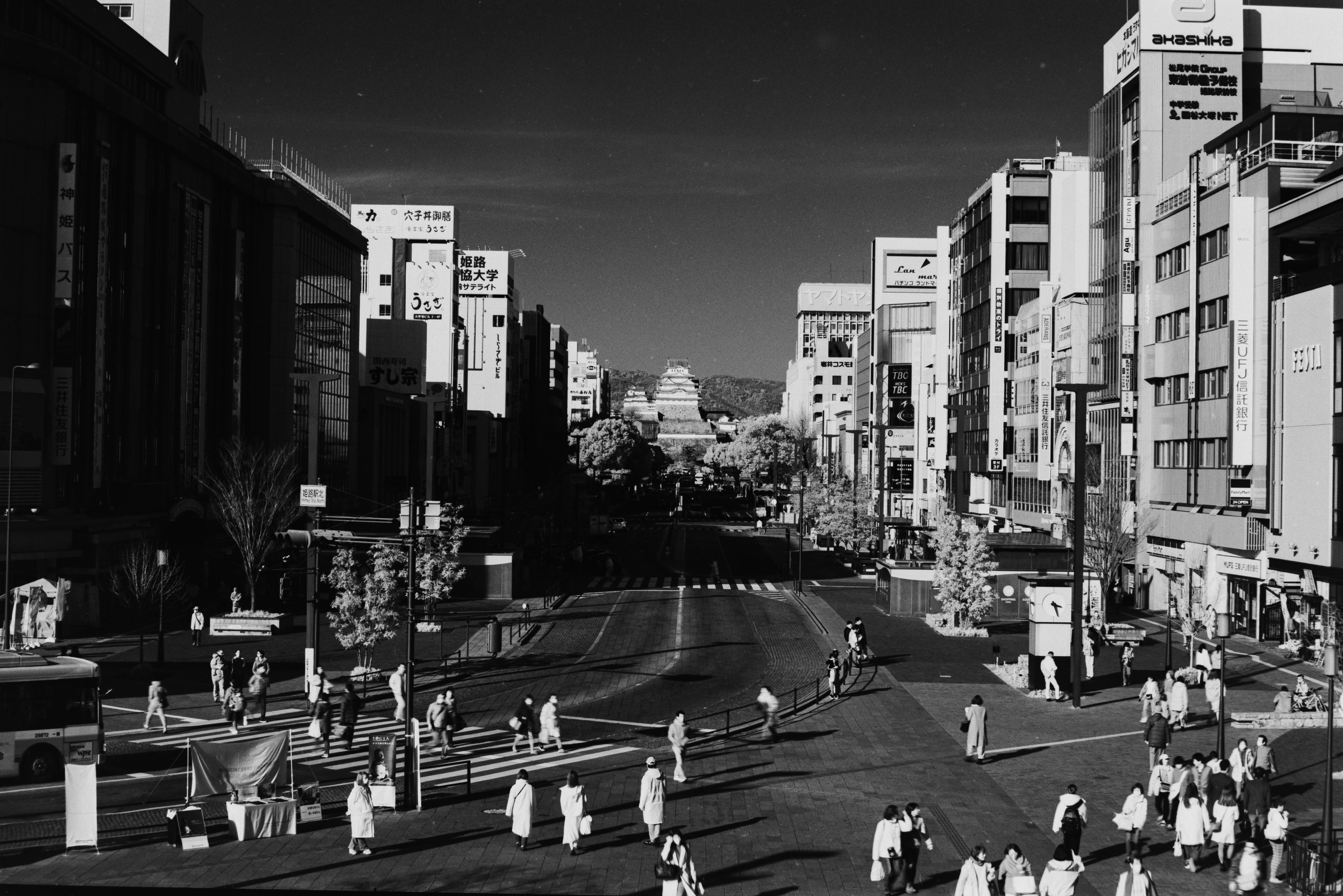 赤外という世界 Darkroom Door 赤外という世界 Darkroom Door