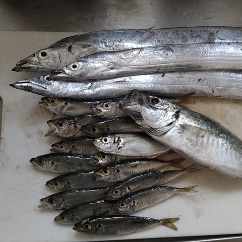 IMG_20200823_154836_901