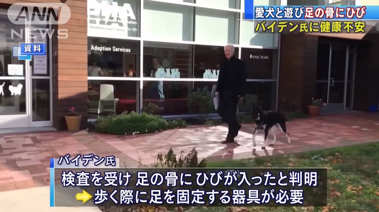 【悲報】バイデンさん、愛犬と遊んで足の骨にひび、憶測呼ぶ。