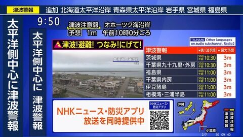 太平洋沿岸にカムチャツカ半島きっかけの津波警報、日本市場に「津波は買い」の不謹慎買い入る