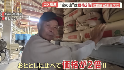 【悲報】米が過去最高の収穫量で余る事態に、ただし値段は2倍…