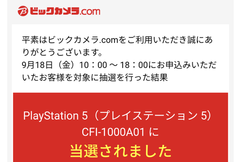 【速報】ビックカメラのPS5抽選結果が発表。そこそこ当たってる人が多い模様