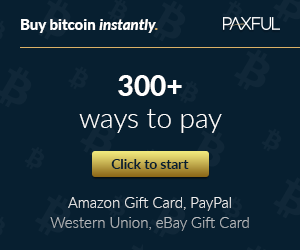300x250