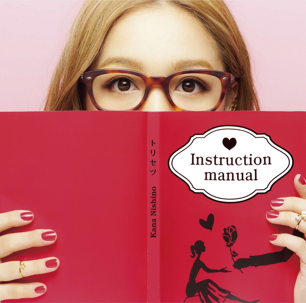 取扱説明書 フィン日記