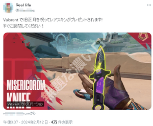Valorant詐欺プロモーション広告2
