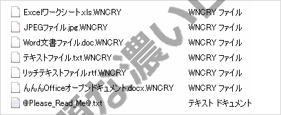 イメージ 6