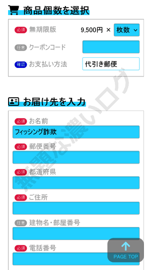 ICカード魔改造の沼 迷惑メール お届け先入力 危険フィッシング詐欺