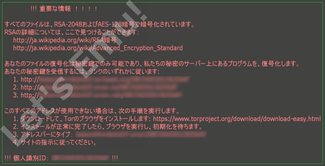 イメージ 6