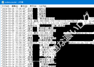 フィッシングサイトで注文者が入力して送信した個人情報データ？