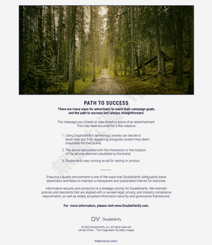 pathtosuccess.global PATH TO SUCCESS DoubleVerify