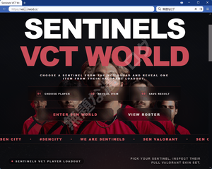 Sentinels VCT World フィッシング詐欺 Valorant 偽サイト