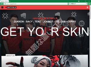 VALORANTプロゲーマーTenZ eスポーツチームSentinels フィッシング詐欺