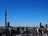 P1028006