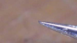 RIMG0356