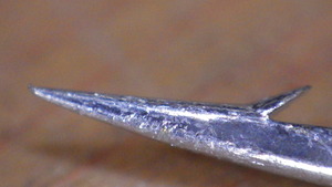 RIMG0355