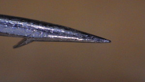 RIMG0352