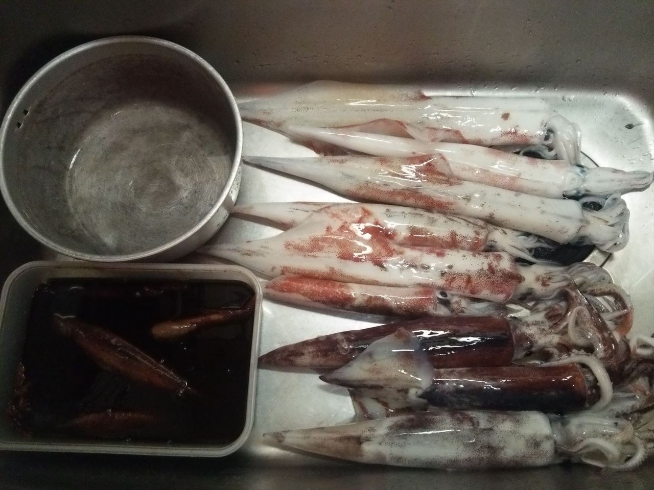 釣行記録 イカメタル 15 2 7 Fish Peak