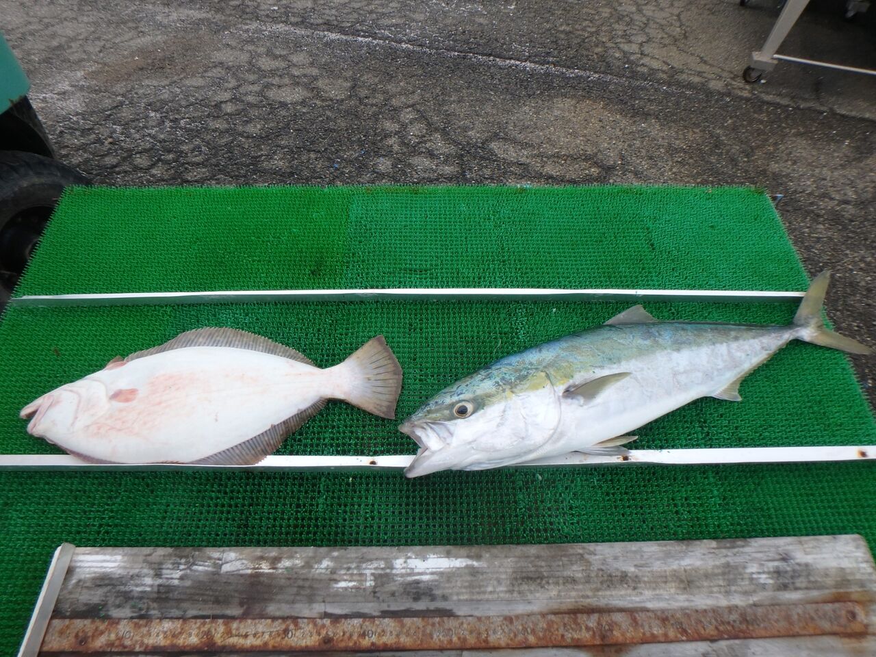 ブリラッシュ まるちょうチヌ通信