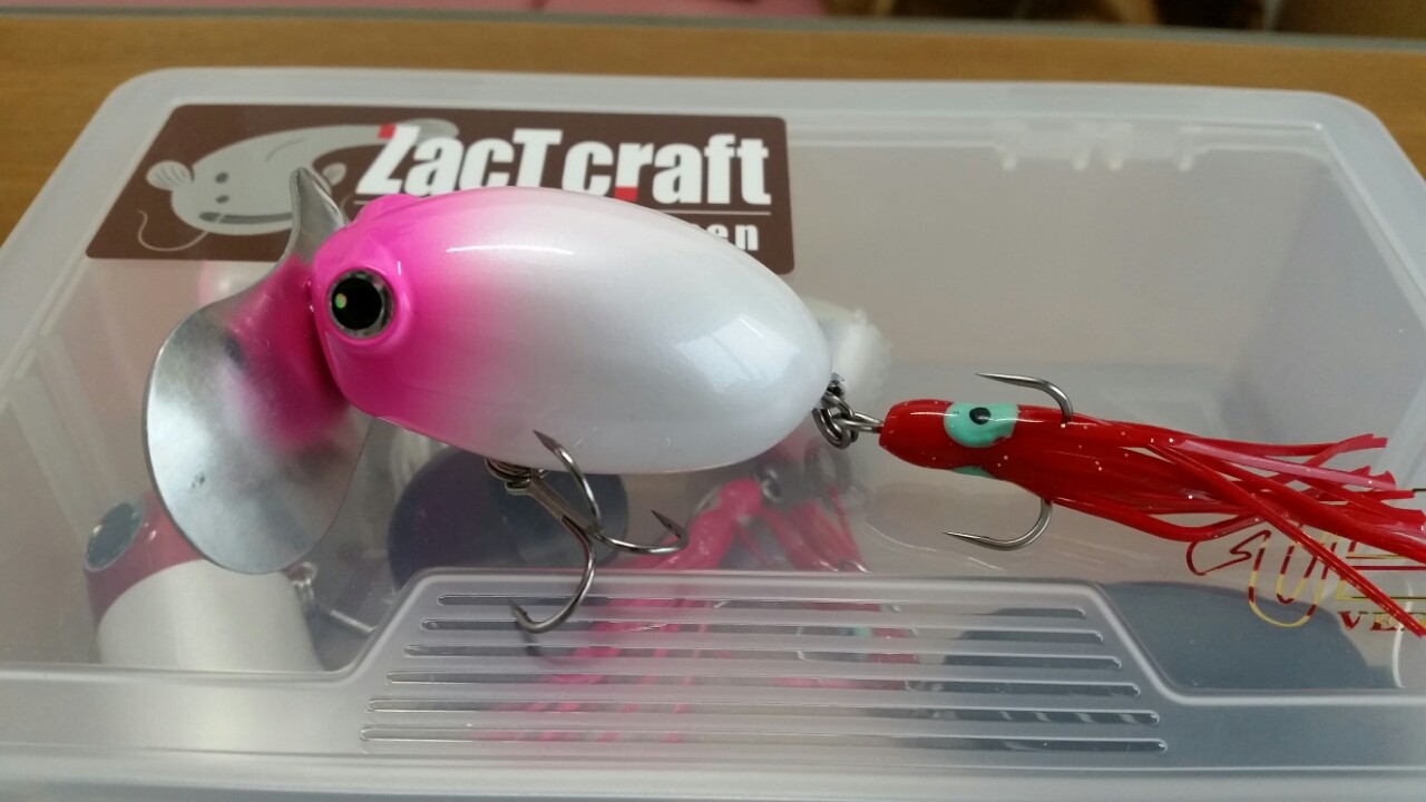 ルアーセッティングの地域差２と僕のセッティング１ ナマズがメインの釣りブログ