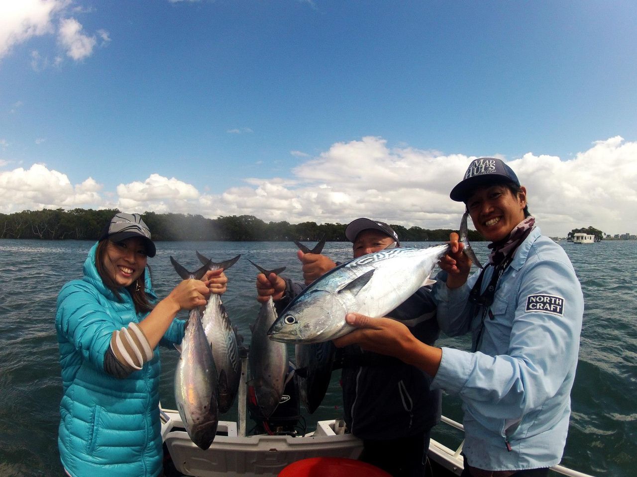 今まで釣れたゴールドコーストの魚たち 釣り好きあきな In オーストラリア