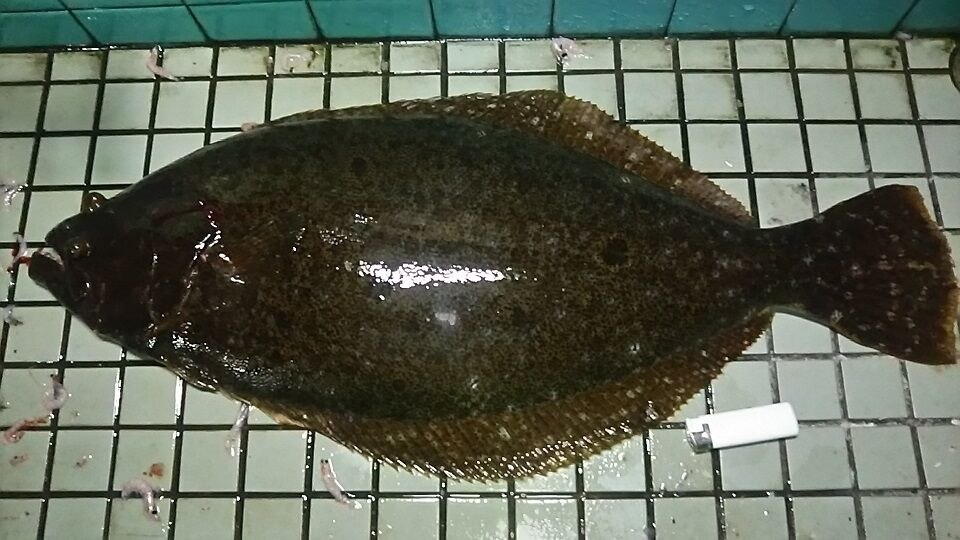イメージ 1