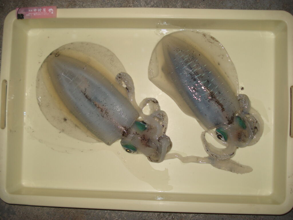 イメージ 1