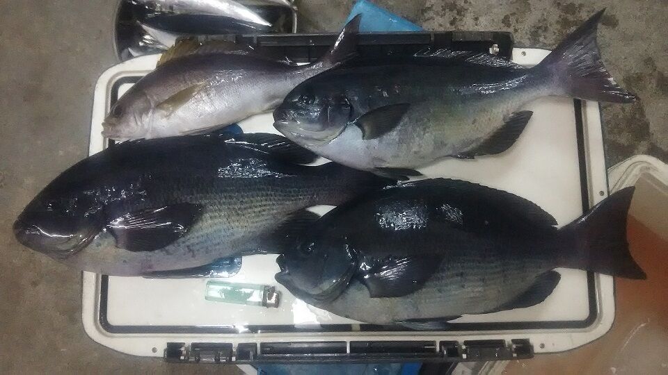 イメージ 1