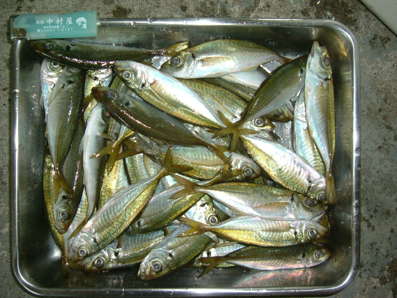 イメージ 1